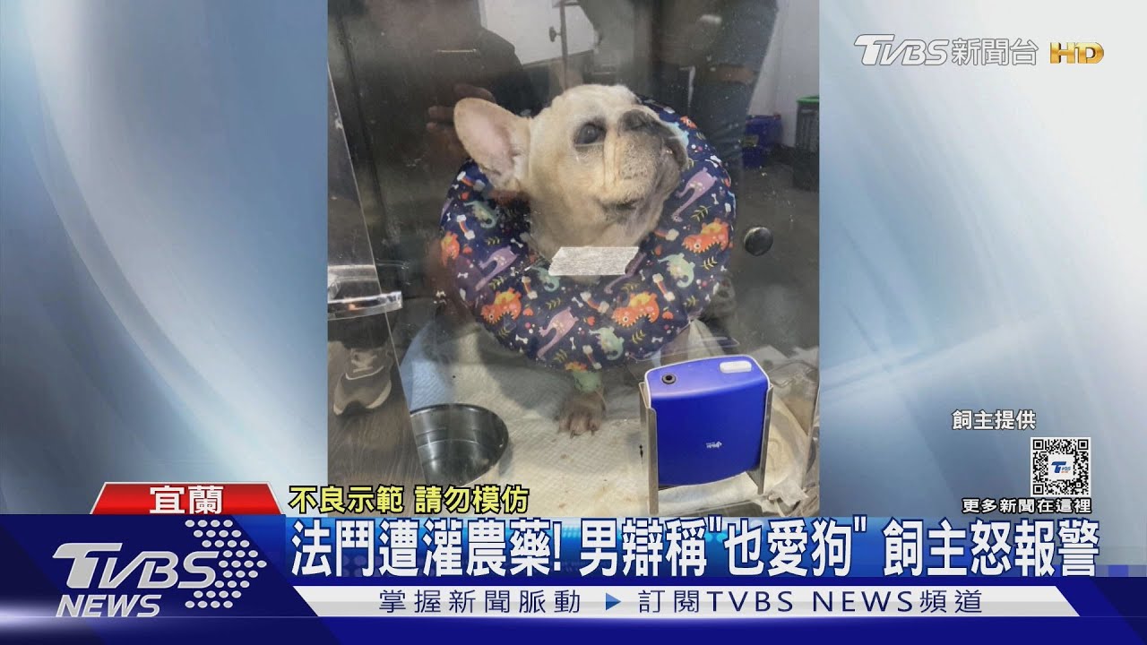 法鬥遭灌農藥! 男辯稱「也愛狗」飼主怒報警
