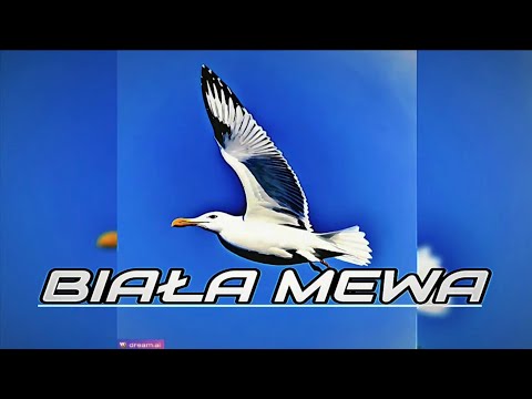 Jan Danek - BIAŁA MEWA
