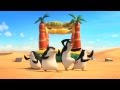 Pingwiny Z Madagaskaru Zwiastun
