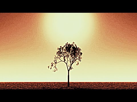 husk - Before the Rain Fell (Official Music Video)