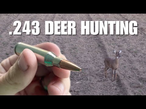 Doe Hunting with Barnes TSX Bullets and Tikka .243