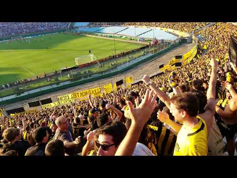 "Peñarol 1 nacional 1 gol del cebolla" Barra: Barra Amsterdam • Club: Peñarol