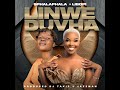 Linwe Duvha