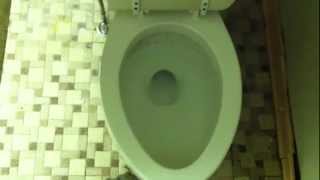 preview picture of video 'American Standard Cadet Toilet Flush'