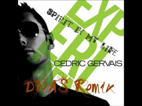 Spirit in my life - Cedric Gervais (Deejay Nick And Soki D.N.A.S remix 2011)