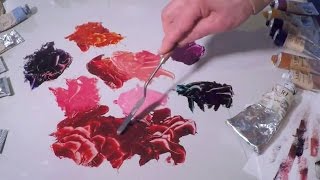 Alizarin Crimson Colour Mixing - Vasari Classic Oil Colour