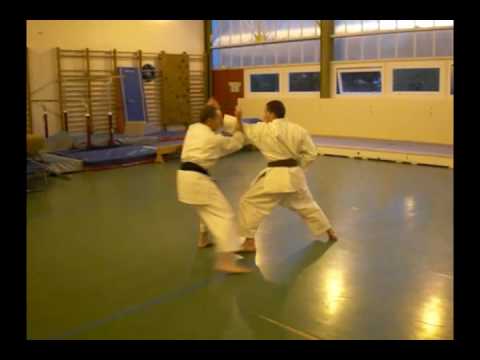 Kata Meikio et Bunkai