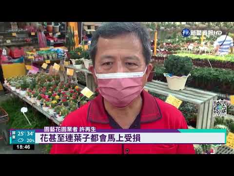 玩澆花水槍射中眼 7歲童眼珠歪掉"消失"