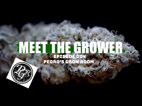 Meet the Grower Ep. 004 - Pedro's Grow Room