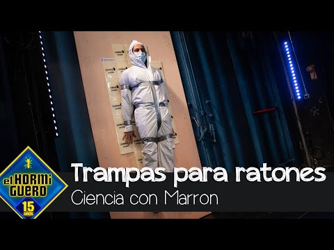 Marron utiliza trampas para ratones en estos experimentos - El Hormiguero