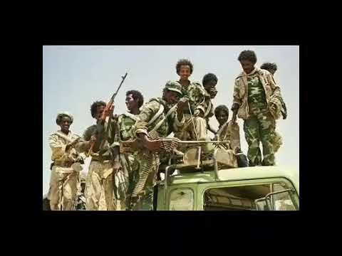 Tesfay mehari fihira werede anbesa