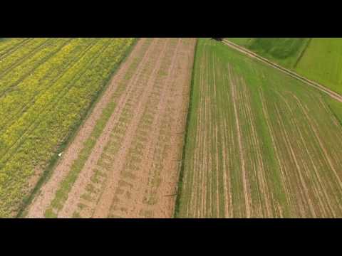 Swidośliwa z lotu ptaka - Tarnawka