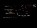 Stenosis, ischemia and heart failure Video Tutorial