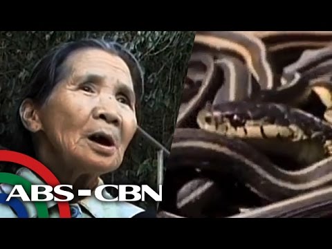 Taba yogurt para sa pagbaba ng timbang Matulog sa isang walang laman ang tiyan para sa pagbaba ng timbang