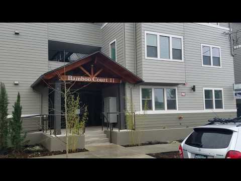 roche01 - Video 2 of 2