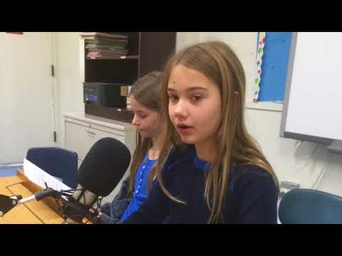 Madame Dominique Bona - Académicienne