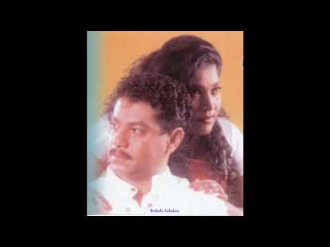 නිල් තරු නෙතු - Nil Tharu Nethu (Cover Version)