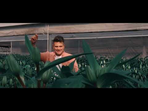 Fran Ocaña - Una Docena de Flores (Videoclip Oficial)