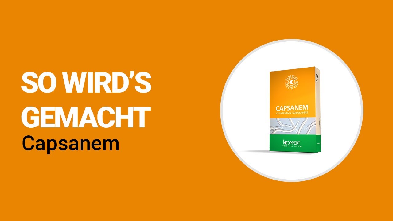 Video preview poster