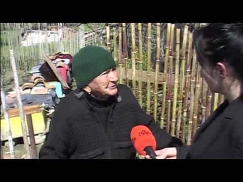 VIJOJNE PASOJAT E SHPERTHIMIT PATOS - MARINZE