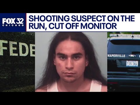 Naperville Il Shooting