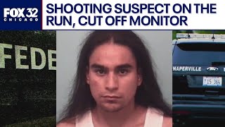 Naperville shooting suspect still on the run after cutting off ankle monitor