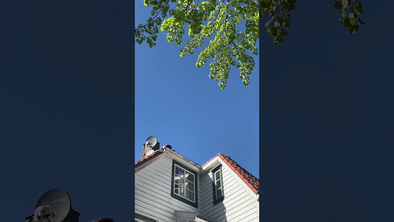 YouTube Short thumbnail