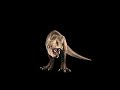 Download Animation 3d De L Hologramme T Rex X Bab2 Pays Basque Mp3 Song