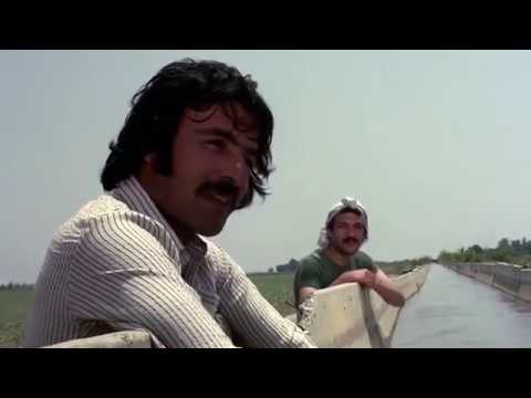 Ferdi Tayfur - Izdırap Çemberi - 1977