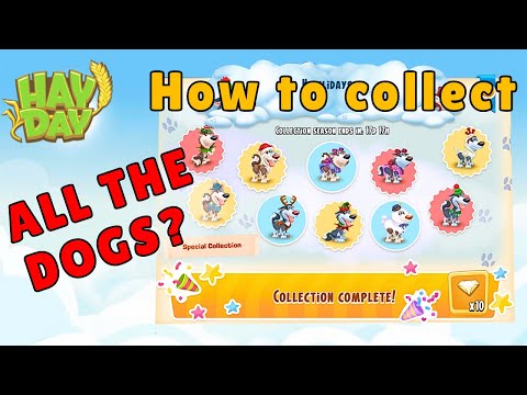Hay Day - How to catch ALL DOGS (Howlidays Global Event Full Guide)🐾🐾