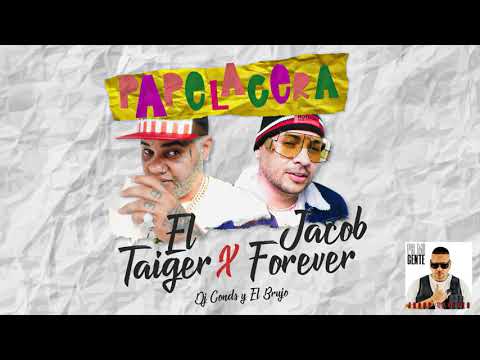 11. Papelacera - Jacob Forever ❌ El Taiger (Audio)
