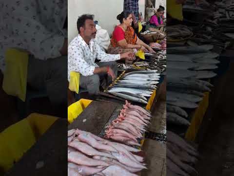 Fresh Fish Market in Goa: A Must-Visit for Seafood Lovers