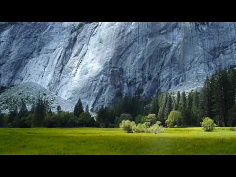 Michael Badal - Deltree (ISOS 8 album - Richard Durand mix)