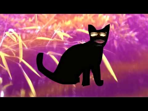 FdPN - Gatto nero