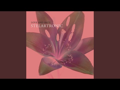 Love and Hate (Extended Mix)