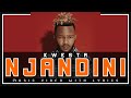 Kwesta - Njandini - Music Video with Full Lyrics