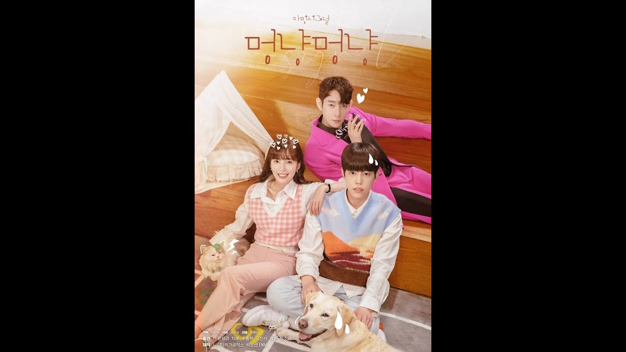 카밍시그널 멍냥 멍냥 (Woof & Meow - Do You Love Me?) Teaser