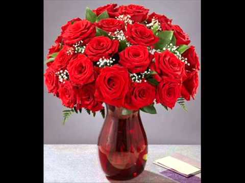 Lina iš grupės VIDURNAKTIS - Gėlė tau pasakys kad pasiklydai.