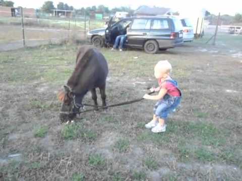 2  September 2012 11 35