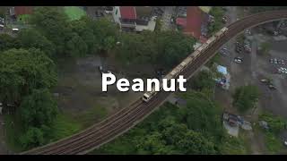 Malaysian National Anthem - Misheard Lyrics