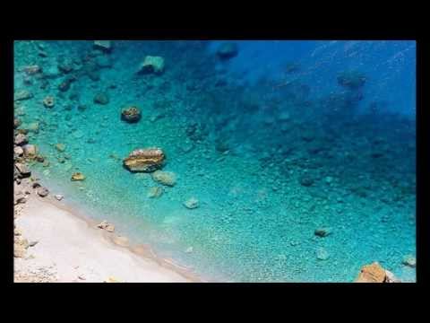 Chris Rea - Where Do We Go From Here?