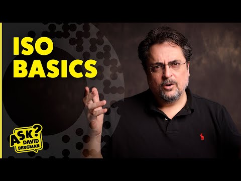 ISO Basics | Ask David Bergman