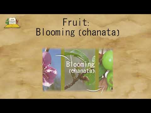 5779: A ma'aser sheni year