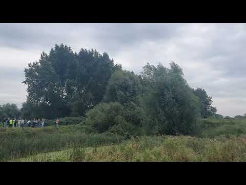 Suikerunieterrein - meest biodiverse natuurgebied in Groningen - opgeofferd voor 5000 woningen