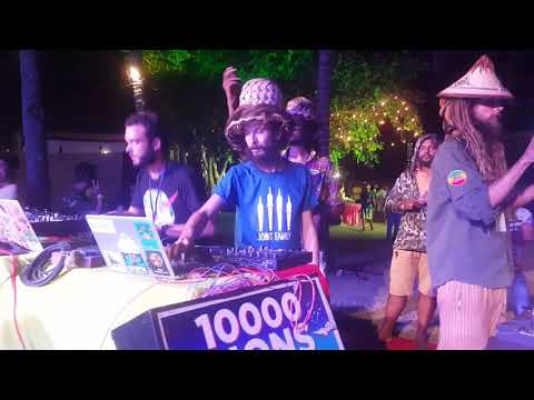 Lemonade Festival #10,000 lines sound system live @10000Lions