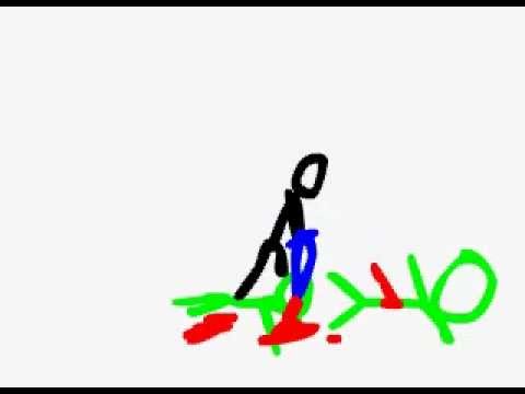 me first animation experience