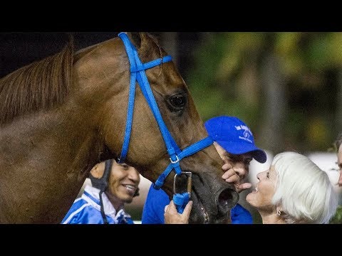 Weekend WrapUp - July 31, 2018