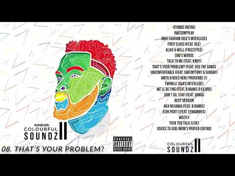 08. Flaev Beatz - That's Your Problem? (feat. Ayo the Gawd)