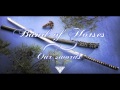 Band of Horses - Our swords [HD] 