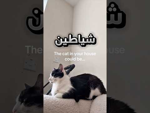 شغل صوت ان القطط تقدر تكون شيطاين قدام القط تبعه !! #youtubeshorts